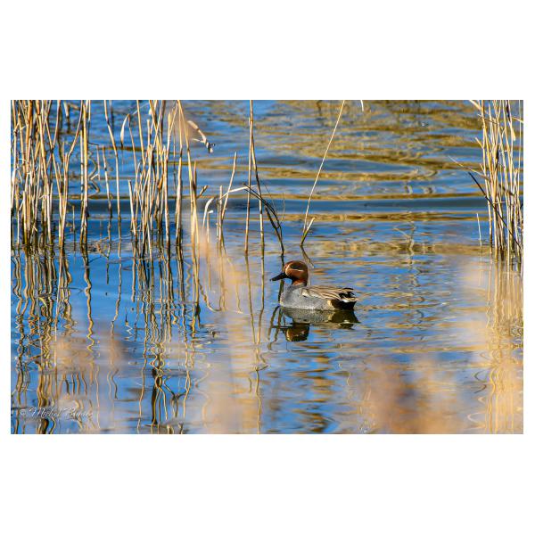 PHOTO84, CLUB, 84 , LUBERON